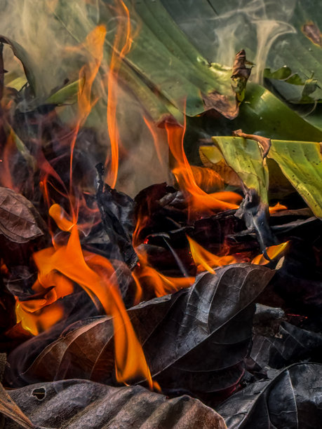 焚烧垃圾时呈现红色的火焰照片图片下载