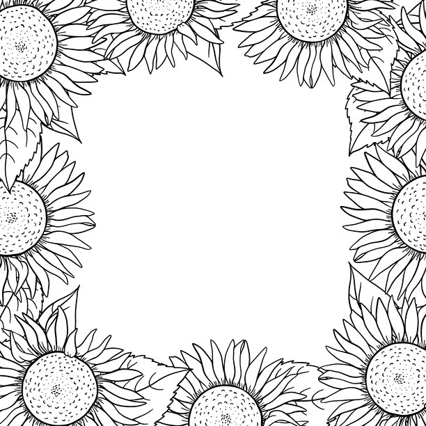 盛开的向日葵形成明亮的と花边，中间留有干净的空间。复古手绘植物插画，非常适合夏季贺卡、有机产品标签。图片下载