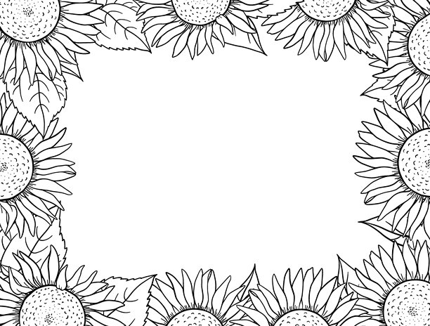 向日葵墨水画边框，盛开的大花头构成明亮的植物边框，中央留有干净的空间。复古手绘植物插画，非常适合夏季贺卡、有机产品标签。图片下载