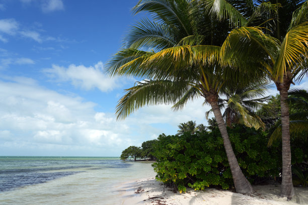 佛罗里达礁岛群，海滩、日落、船只和桥梁的航拍照片。图片下载