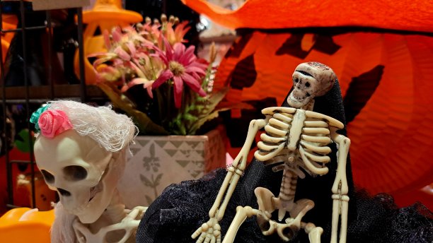 一张节日气氛浓厚、色彩鲜艳的万圣节装饰品特写照片。图片下载