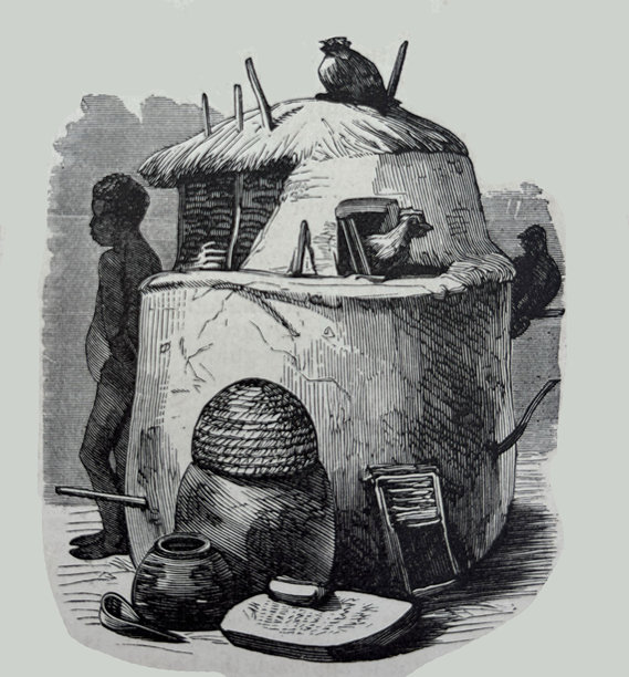 古董插画 - 非洲原住民 - 男人站在茅屋旁，有鸡图片下载