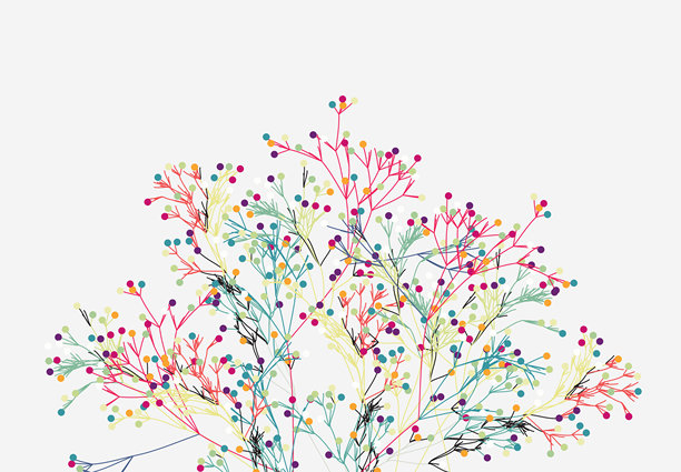 抽象的自然之美，带有水果图案的植物和树木插画背景图片下载