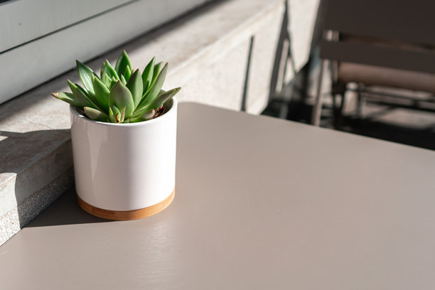 阳光下，摆放在咖啡馆桌子上的白色花盆里的绿植。这张照片象征着简约、放松、和谐、自然、清新和都市生活方式的概念。图片下载