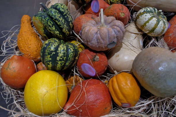 秋季市场南瓜：特写。秋季市场上的南瓜特写照片。秋季背景。图片下载