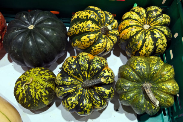 秋季市场南瓜：特写。秋季市场上的南瓜特写照片。秋季背景。图片下载