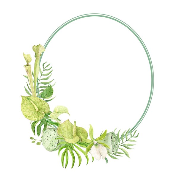 兰花和龟背竹叶的椭圆形相框。带有新娘用于文字的婚礼模板。来自热带雨林和丛林的异国植物。水彩插画。图片下载