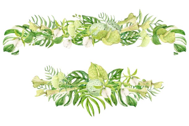 白色兰花、绿色红掌、捕蝇草和龟背竹叶的水平模板。来自热带森林和丛林的异国情调植物。丛林风格的婚礼请柬水彩插画。图片下载