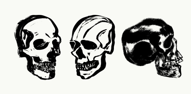 一套手绘头骨插画，采用复古炭笔墨水和黑色画笔纹理。矢量素描，象征万圣节、纹身艺术、骷髅设计和亡灵节装饰。图片下载