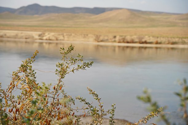 伊犁河沿岸的山地地形和各种植被。国家自然公园。图片下载