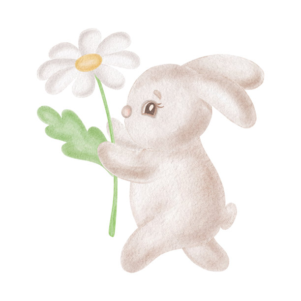 可爱的兔子和雏菊。用于复活节贺卡的水彩兔子插画。手绘的、孤立的惹人喜爱的野兔。用于婴儿送礼设计的微笑角色。有趣的森林动物剪贴画。图片下载