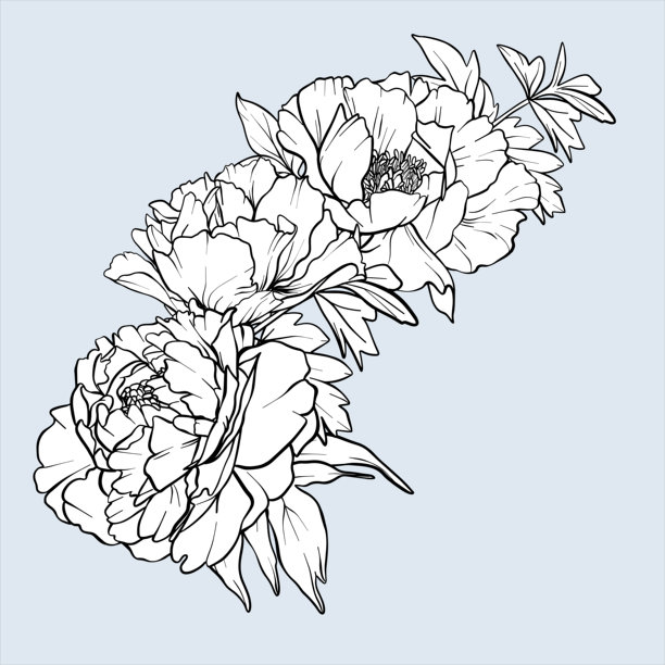 牡丹线条艺术草图。牡丹花束矢量花卉插画。黑色墨水手绘轮廓花卉。用于婚礼请柬、日期保存卡和着色页的花卉雕刻。图片下载