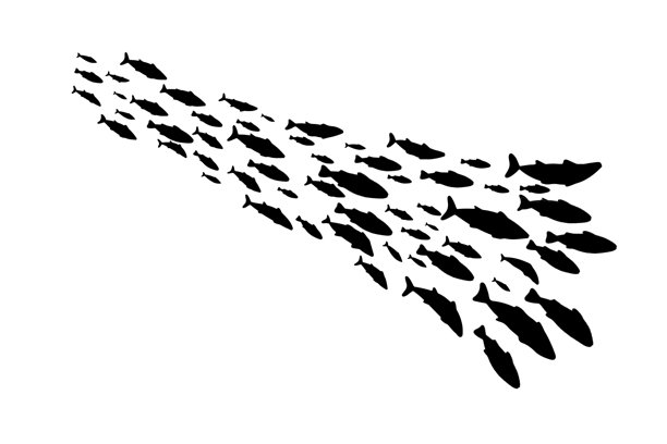 鱼群组成波浪的形状，黑色矢量剪影，孤立在白色背景上。抽象海洋插画。图片下载