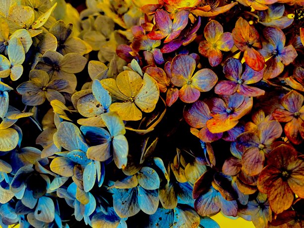 创意图片，随时随地图片下载