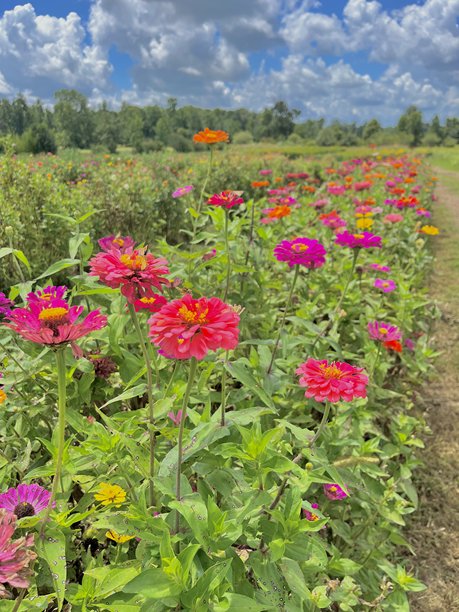 创意图片，在路上图片下载