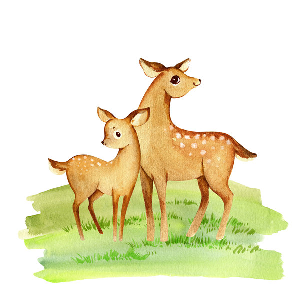淡彩褐色斑点母鹿与幼鹿在新鲜的绿草地上，手绘插画风格的可爱家庭森林动物，母鹿和幼鹿，适合自然装饰的野生动物素描图片下载