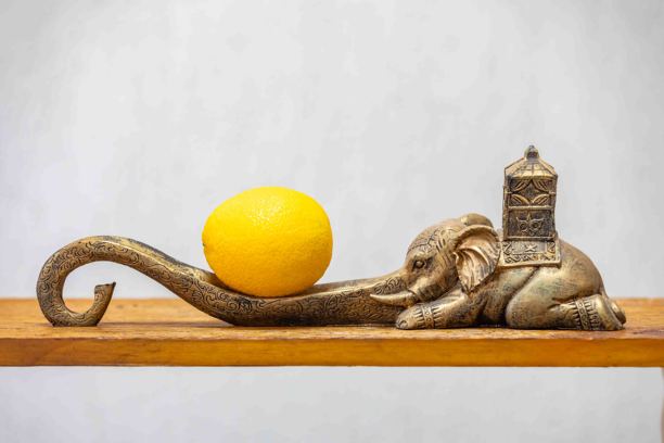 静物水果图片，成熟多汁的热带水果图片下载