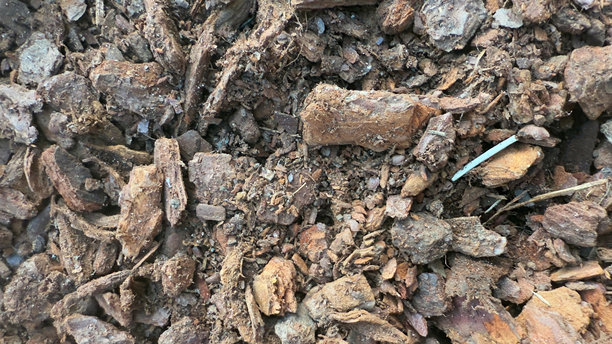 特写镜头，棕色树皮覆盖物纹理，用于园林绿化和园艺的有机花园土壤覆盖材料。专业照片图片下载