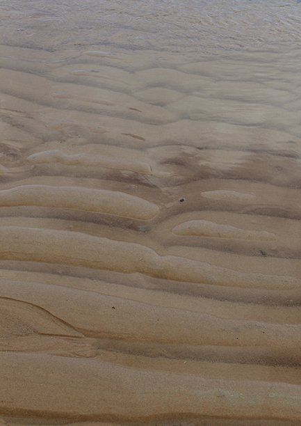 垂直照片，有沙丘。沙滩的沙子纹理图片下载