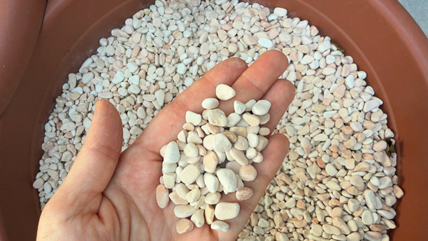 手捧白色小石子放在棕色花盆上，园艺和景观装饰材料概念。专业照片图片下载