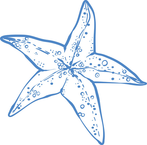 优雅的蓝色线条艺术插画，以极简风格描绘贝壳。航海装饰矢量图，适用于海滩印刷品、海岸墙艺术。图片下载