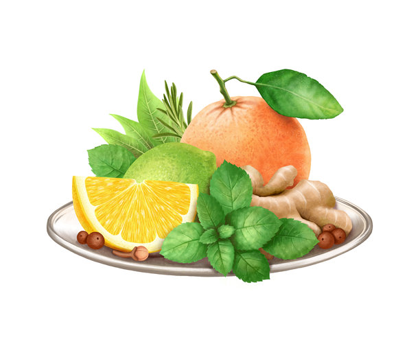 盘子里的水果绿茶配料。柠檬、青柠、橙子、姜、薄荷、迷迭香、绿茶叶和多香果。白色背景上的水彩插画。图片下载