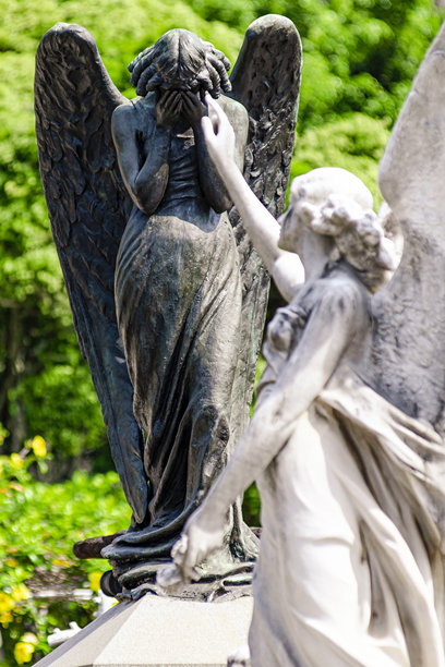 照片展示了两个天使雕塑，背景是一面爬满植物的墙。一个天使用手捂着脸，另一个似乎在试图支撑她。艺术家不详，巴西里约热内卢圣若昂巴蒂斯塔公墓。图片下载