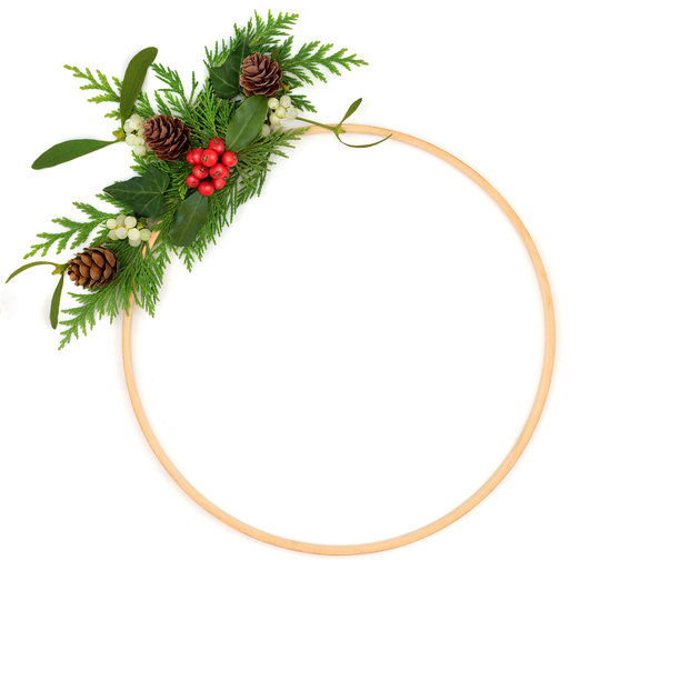 冬至冬青绿叶花环装饰画框图片下载
