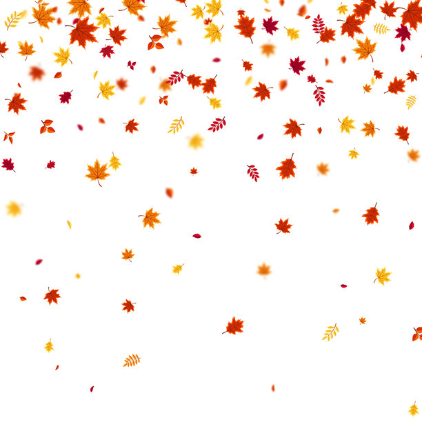 秋季飞舞飘落的树叶背景，有彩色的季节性叶子，红、橙、黄。非常适合自然主题、季节性销售、海报。矢量插画图片下载