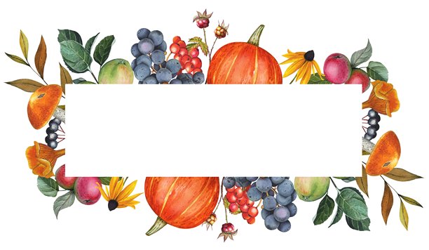 手绘的苹果、浆果、南瓜和秋叶边框。水彩插画。图片下载