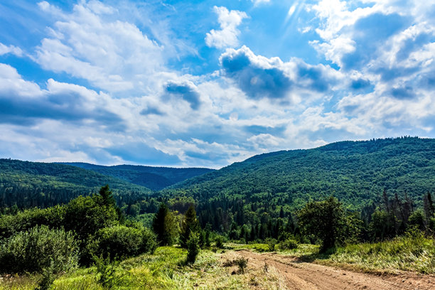 自然风光，森林，喀尔巴阡山，欧洲自然风光照片，东欧图片下载