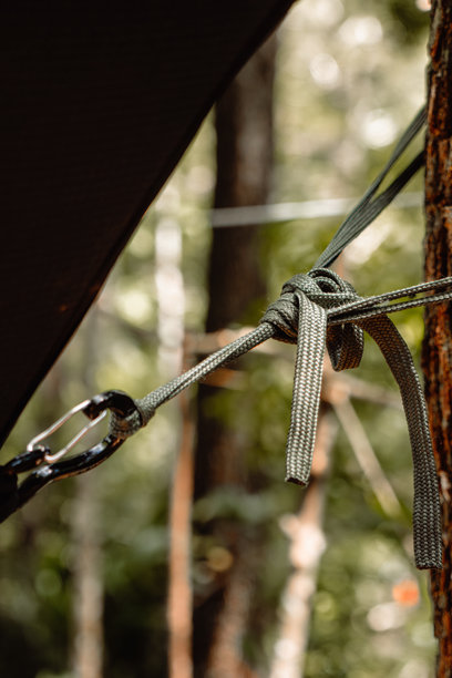 一根绿色的伞绳在固定在树上的登山扣上打了一个牢固的结，这是一张细节丰富的垂直拍摄照片。图片下载