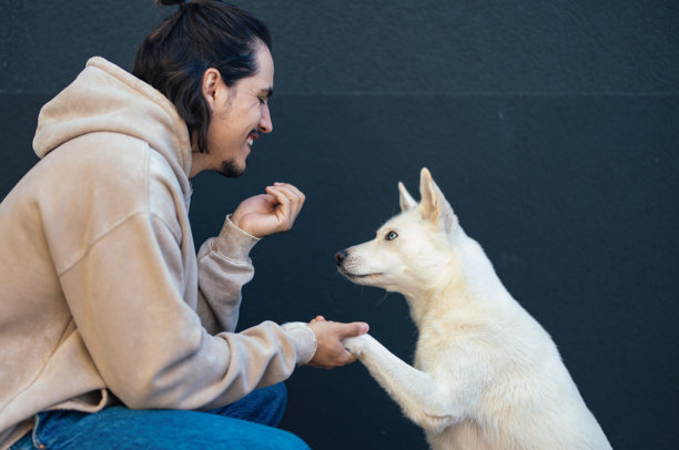男人和狗在室内玩耍的素材图片下载