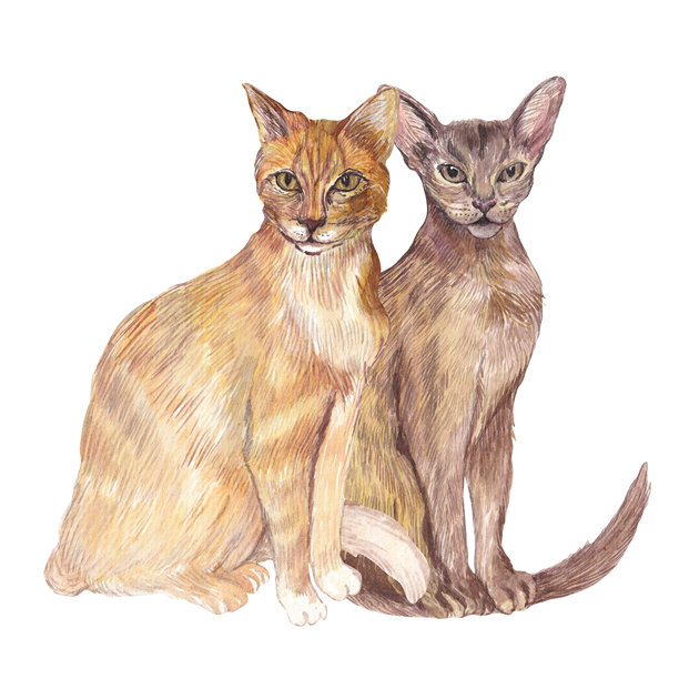 各种姿势猫咪的水彩插画，手工绘制，细节精致。非常适合宠物品牌、文具、纺织品设计、社交媒体图形和家居装饰印刷品。图片下载