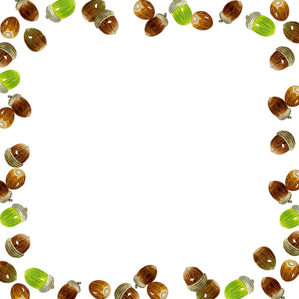 橡子画框。手绘水彩秋季植物插画素材。图片下载