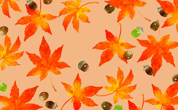 秋季枫叶和橡子的背景。手绘水彩秋季植物插画素材。图片下载