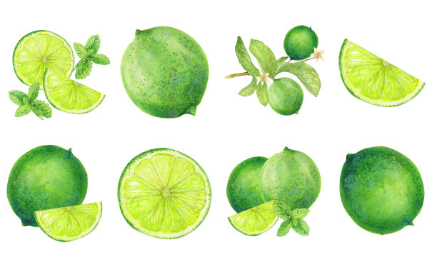 水彩风格插画，描绘了新鲜的青柠、青柠切片、薄荷叶和花朵，背景为黑色。这款柑橘类水果和草本元素非常适合夏季、饮品和植物学设计。图片下载