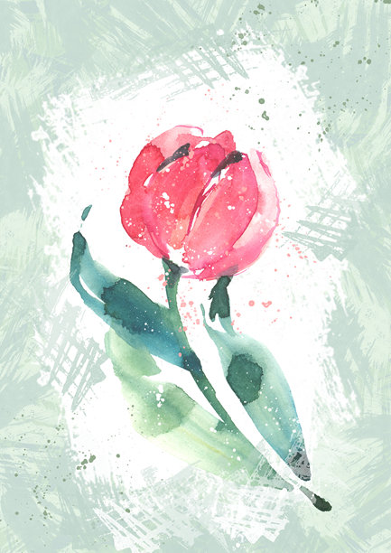 一朵粉红郁金香的绘画，春夏季插画，为女性准备的礼品卡，一位母亲图片下载