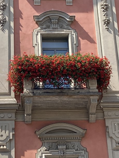 装饰性铸铁格栅和阳台窗户——复古欧洲建筑图像图片下载