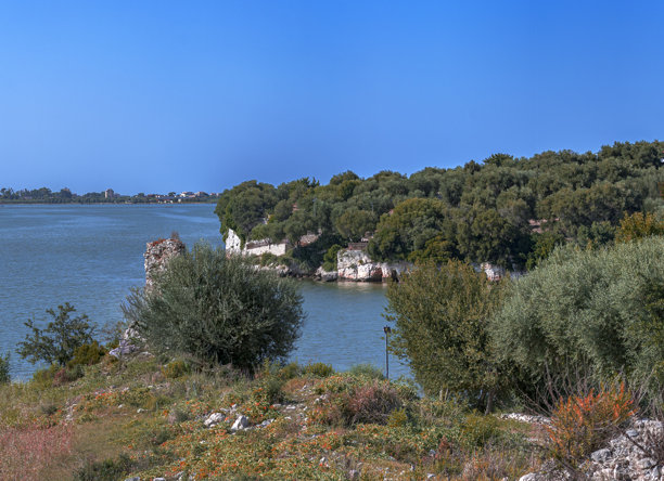 意大利普利亚地区卡拉诺湖的宁静风景全景。照片展示了该地区平静的自然美景，拥有晴朗的蓝天以及遍布地中海植物和树木的海岸线。图片下载