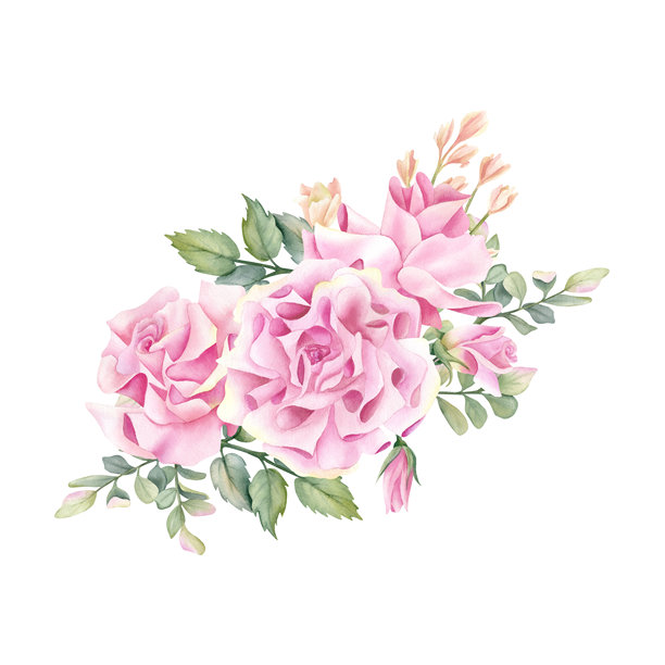 粉色玫瑰花卉组合，精致的米色小苍兰，叶子，开心果。柔和的植物花卉插画，孤立于背景，适用于婚礼请柬、生日贺卡、葬礼装饰、纺织品。图片下载