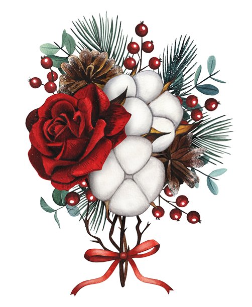 手绘圣诞花束，包含红玫瑰、松果、桉树叶、棉花、红浆果和红色蝴蝶结。水彩插画。图片下载