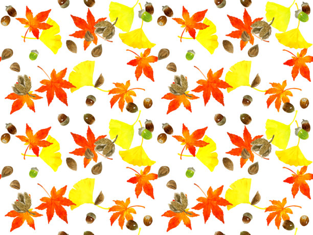 秋季树叶和坚果的无缝图案。手绘水彩插画背景素材。图片下载