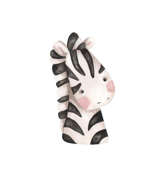 游乐园。水彩手绘插画，描绘了有趣的小斑马肖像。可爱的儿童插画，适用于婴儿派对、生日和育儿室设计。图片下载