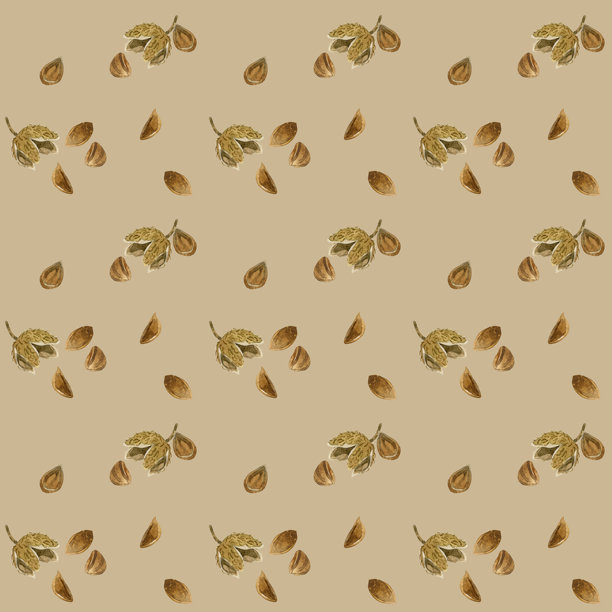 山毛榉坚果的无缝图案。手绘水彩插画背景素材，以秋季植物为特色。图片下载