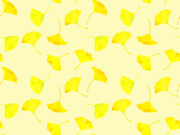 黄化的银杏叶无缝图案。手绘水彩插画背景素材，以秋季植物为特色。图片下载