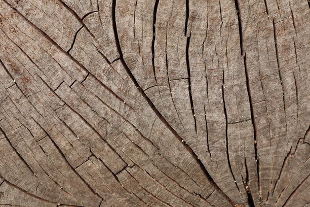 沙滩水线特写，浑浊的海水中漂浮着各种垃圾，包括红白塑料袋和包装袋。水边的沙滩上散落着更多碎片，凸显了这一普遍存在的问题图片下载