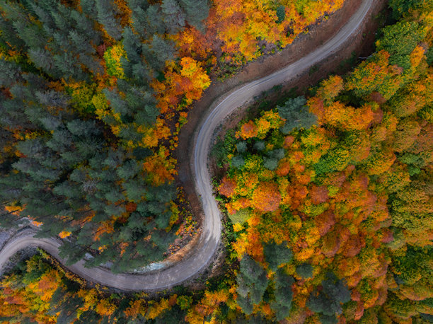 土耳其卡尔吉·楚鲁姆秋季森林照片图片下载
