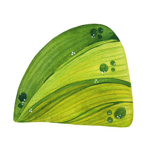 一片绿色的草地，带有一个风格化、卡通化的山丘。手绘水彩插画。适用于剪贴簿、卡片和儿童手工套件。旅行、冒险、自然图片下载