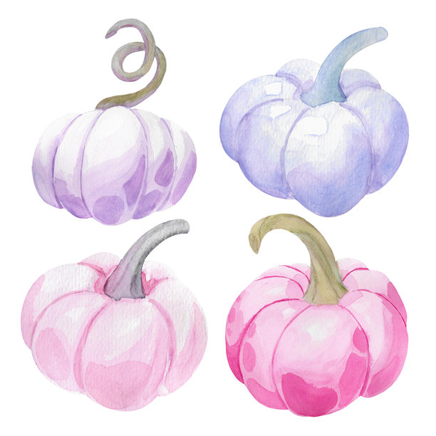 一套装饰性的粉色和紫色南瓜。这些色彩鲜艳、浓郁的自然色调南瓜采用水彩风格绘制。这些插画非常适合用于季节性商品、主题派对邀请函、秋季菜单和网站设计。图片下载